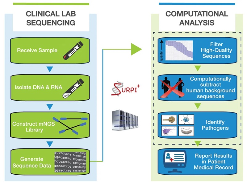 Imagen: El flujo de trabajo de laboratorio clínico para mNGS (Foto cortesía de UCSF)